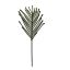 NORFOLK PINE SPRAY 80CM GREEN