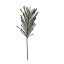 NORFOLK PINE SPRAY 105CM GREEN