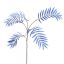 CHAMAEDOREA SPRAY X5 77CM BLUE