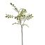 SMALL LEAF SPRAY 66CM GREEN