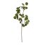 GERANIUM LEAF SPRAY X 3 72CM GREEN