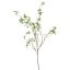 MEDIUM SALIX SPRAY 106CM GREEN