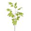 LARGE MAPLE LEAF SPRAY 120CM GREEN