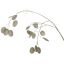 PEARL SILVER DOLLAR 96CM GREEN