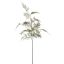 ASPARAGUS SPRAY 120CM GREEN