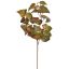 PHILO LEAF SPRAY X3 50CM PINK GREEN
