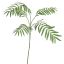 CHAMEADOREA SPRAY 85CM GREEN