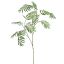 LARGE CHAMEADOREA SPRAY 125CM GREEN