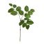 LEAF SPRAY X 3 75CM GREEN