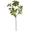 MEDIUM LEAF BRANCH 78CM GREEN