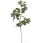 MAPLE LEAF BRANCH 75CM GREEN