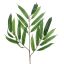 WEEPING FICUS SPRAY 21LVS 60CM GREEN