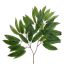 MANGO LEAVES SPRAY 36LVS 60CM GREEN