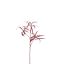 SPIDER LEAF BRANCH 115CM BURGUNDY
