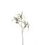 SPIDER LEAF BRANCH 115CM GREEN