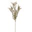 ROSEMARY 90CM GREEN RED