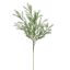 SPRENGERI BRANCH 104CM GREEN