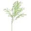 SPRENGERI BRANCH 104CM LIGHT GREEN