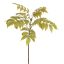 ELDERBERRY CLOUD 76CM GREEN RED