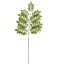 FLAT ELDERBERRY 135CM GREEN