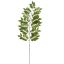 LARGE FLAT ELDERBERRY 155CM GREEN