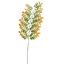 LARGE FLAT ELDERBERRY 155CM RED