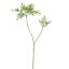 SOUBUS 110CM GREEN