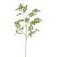 JASMINE LEAF 100CM GREEN