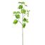 REDBUD LEAF 100CM LIGHT GREEN