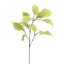 FLOCKED PERILLA LEAF 80CM LIGHT GREEN