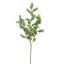 ASPARAGUS 70CM GREEN