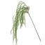 HANGING SPRENGERI 110CM GREEN