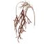 RHIPSALIS 100CM RED