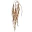 RHIPSALIS 125CM BROWN