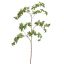 JAPANESE ENKIANTHUS LEAF 157CM GREEN