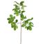 BEECH LEAVES 160CM GREEN