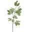 LEAF SPRAY 161CM GREEN