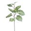 LARGE ZEBRA LEAF 150CM GREEN