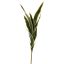 SNAKE PLANT STEM 80CM GREEN YELLOW