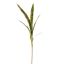SNAKE PLANT STEM 120CM GREEN YELLOW