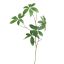 FATTEN LEAF BRANCH 120CM GREEN