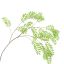LARGE SORBUS LEAF SPRAY 140CM GREEN