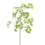CELERY LEAF SPRAY 105CM GREEN