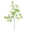 LARGE CELERY LEAF SPRAY 160CM GREEN