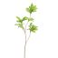LEAF SPRAY 75CM GREEN