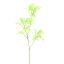 STINGING NETTLE 75CM GREEN