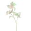 STINGING NETTLE 75CM GREEN PINK