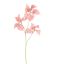 STINGING NETTLE 75CM PINK