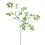 LEAF SPRAY 134CM GREEN