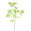 BEECH LEAF 95CM GREEN